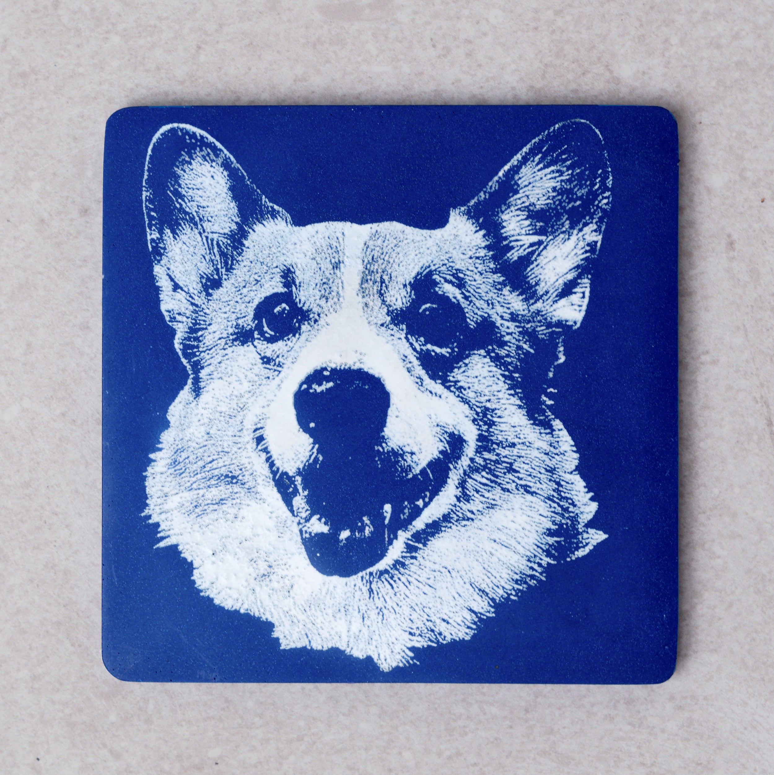 Custom Pet Portrait Decorative Plate Brazen Studio